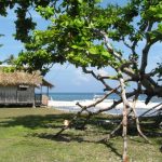house on the beach